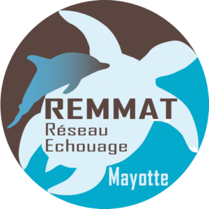 REMMAT