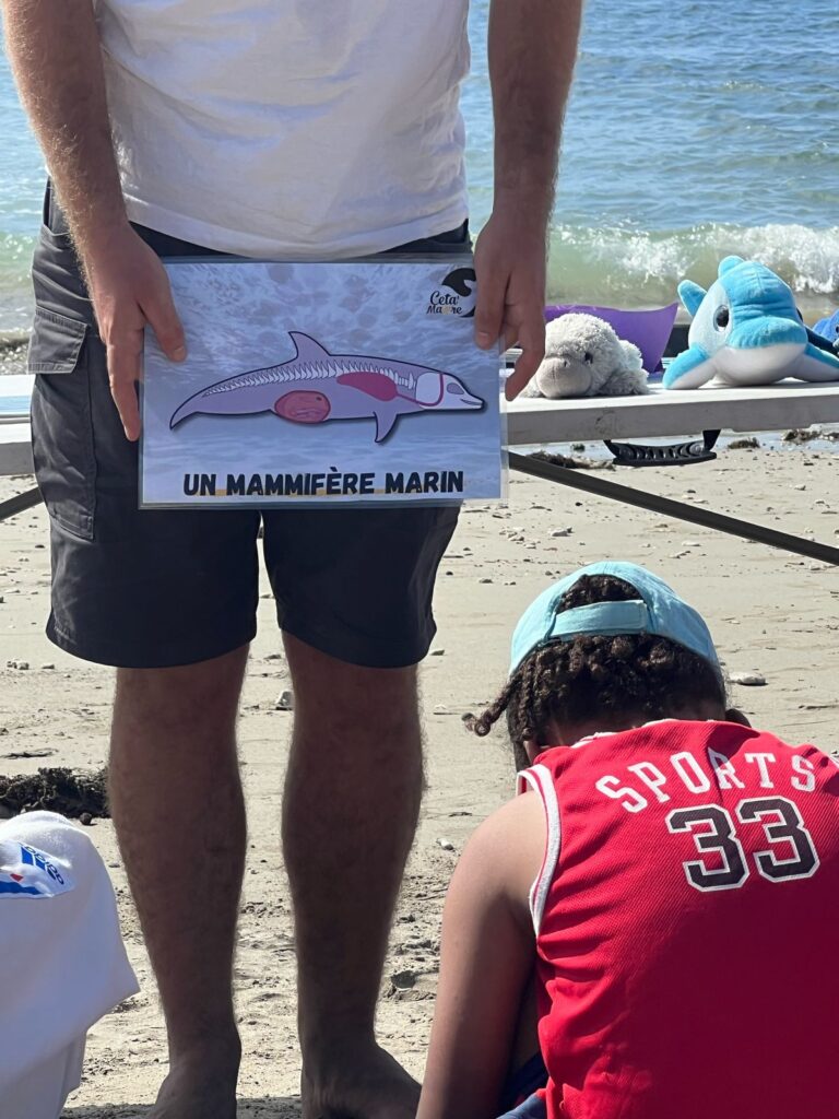 Intervention pédagogique sur la plage pour un club sportif