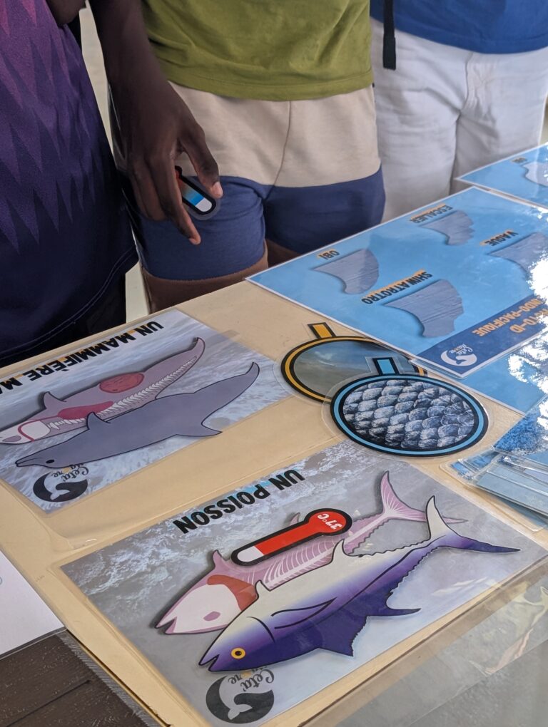 Village Nomade Nature pour les collegiens