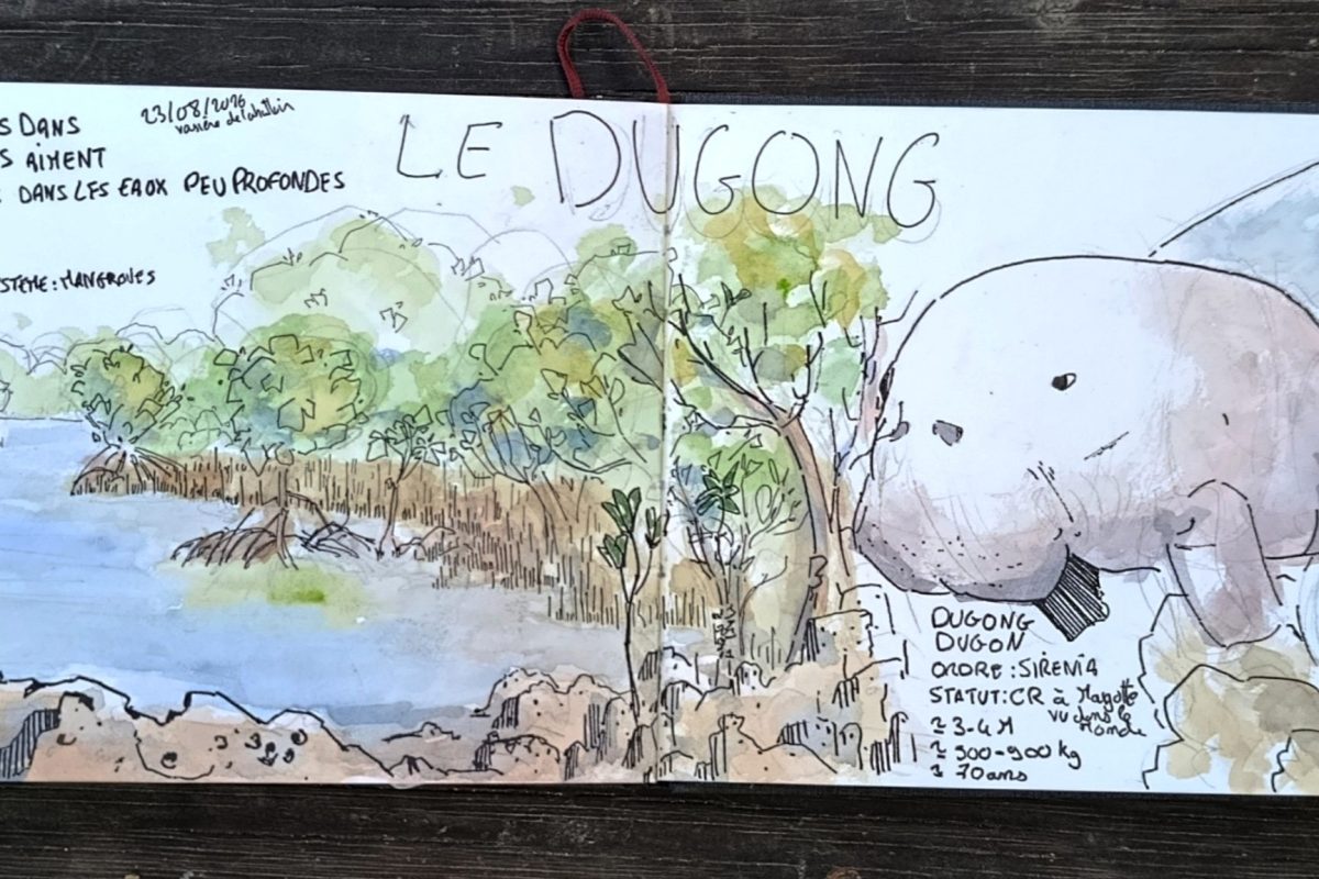 VARLET Nicolas Dessin